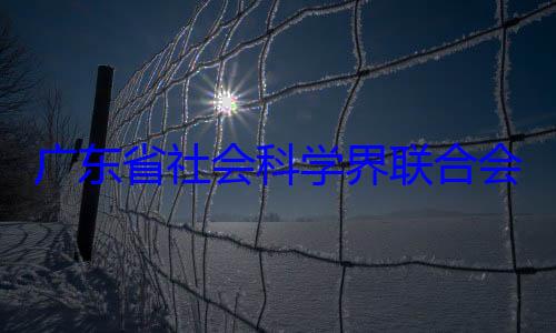 广东省社会科学界联合专职副主席余鸿纯被查会党组成员